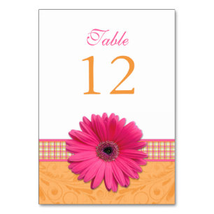 Pink Gerber Daisy Orange Kariert Ribbon Wedding Tischnummer