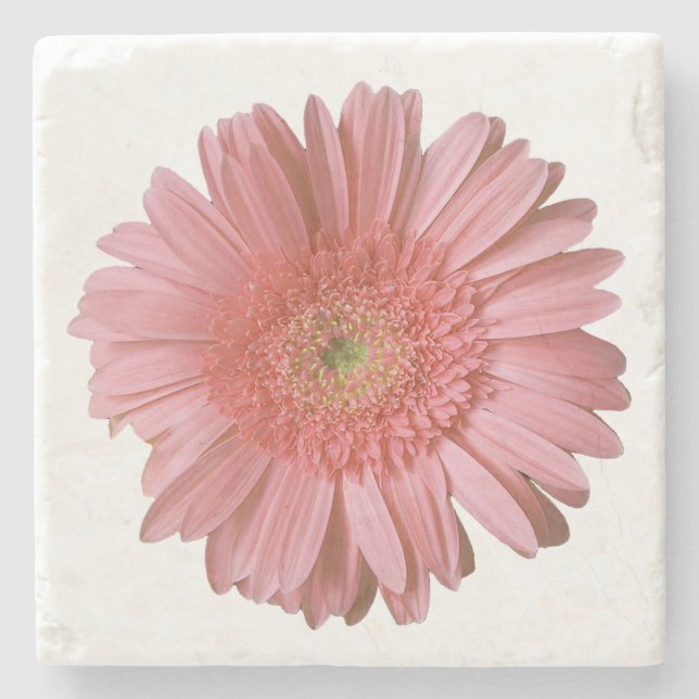 Pink Gerber Daisy Stone Untersetzer (Vorderseite)