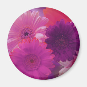 Pink Gerbera Daisy Blume Kühlschrank Magnet