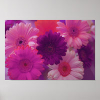 Pink Gerbera Daisy Blume Mauer Kunstdruckposter