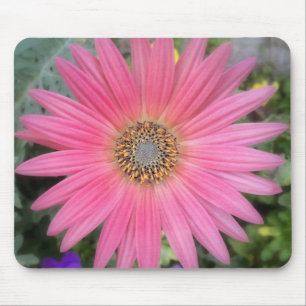 Pink Gerbera Daisy Blume Mousepad