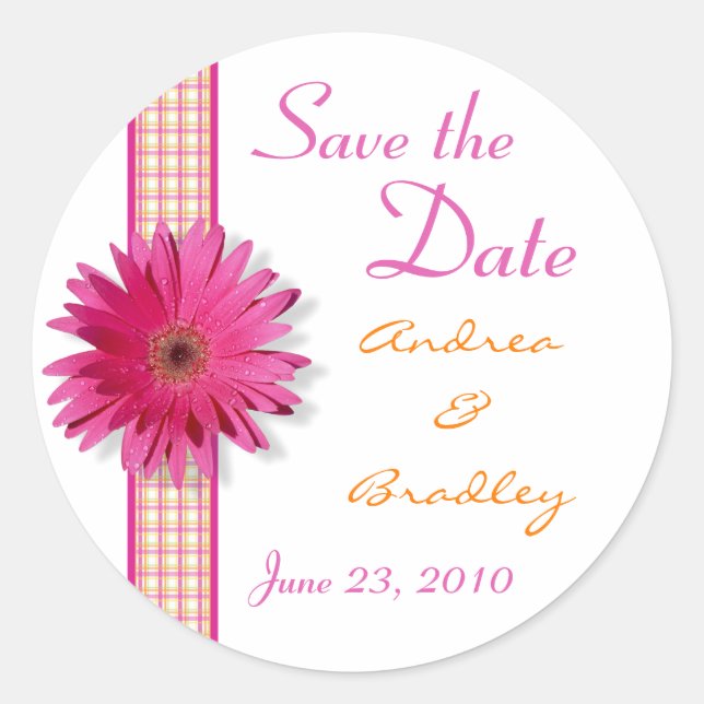 Pink Gerbera Daisy Kariert Ribbon Wedding Runder Aufkleber (Vorderseite)