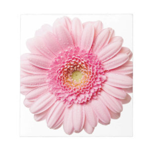 Pink Gerbera Daisy Notizblock
