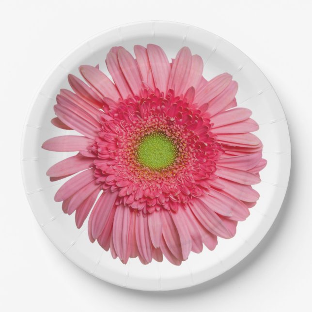 Pink Gerbera Daisy Pappteller (Vorderseite)