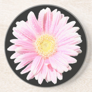 Pink Gerbera Daisy Sandstone Untersetzer