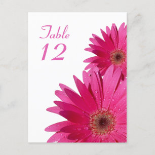 Pink Gerbera Daisy Table Number Card Postkarte