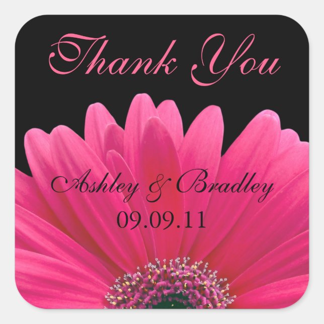 Pink Gerbera Daisy Wedding Vielen Dank, Ihr Sticke Quadratischer Aufkleber (Vorderseite)