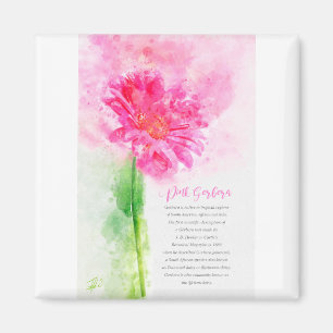 Pink Gerbera Magnet