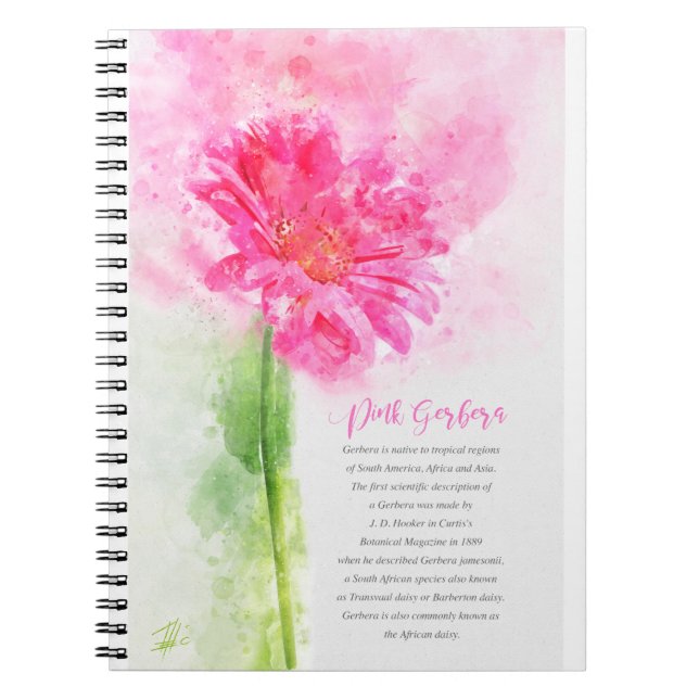 Pink Gerbera Notizblock (Vorderseite)