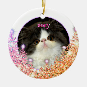 Pink-glänzender Glitzer für die Verzierung von Hau Keramik Ornament