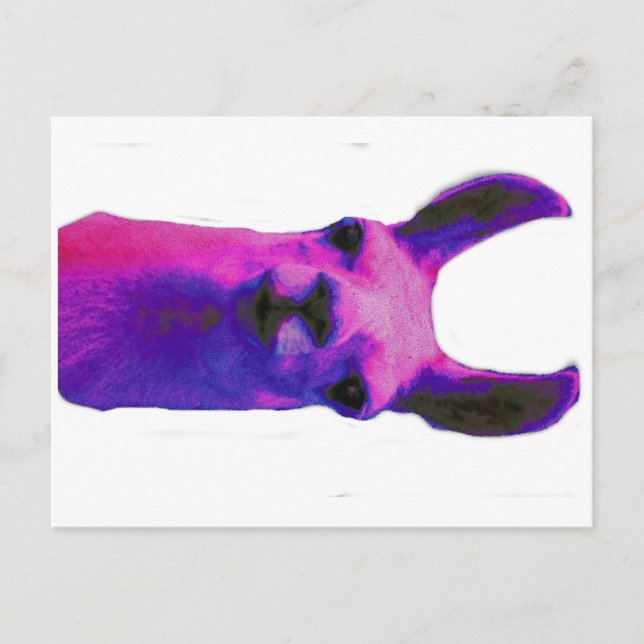 Pink Graphic Llama Postkarte (Vorderseite)