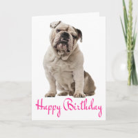 Pink Happy Birthday English Bulldog Puppy Dodge Ca