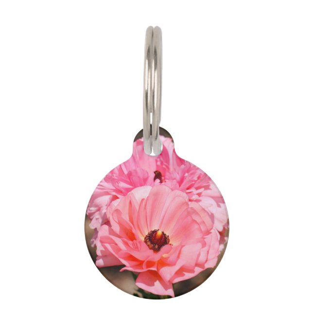 Pink Haustiermarke (Vorderseite)