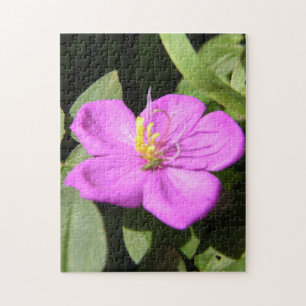 Pink Hawaiian Plumeria Poster Imitate Canvas Print