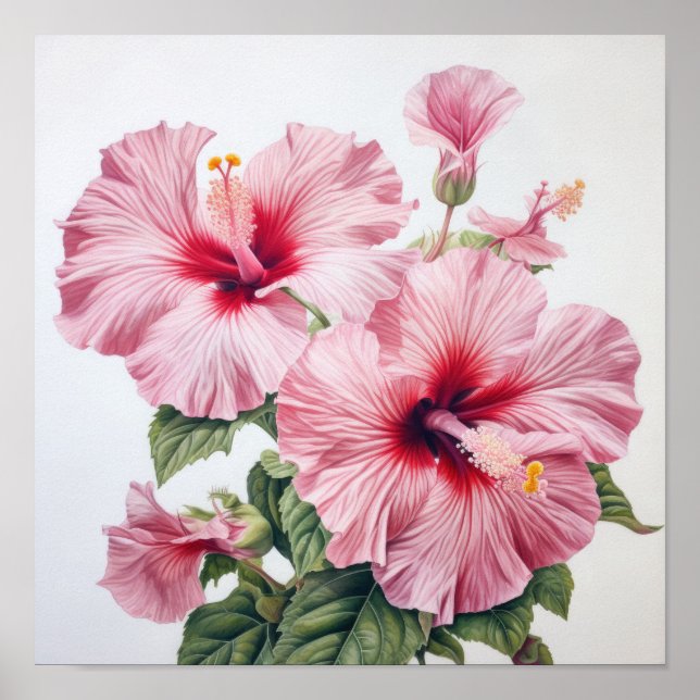Pink Hibiscus Flower Art Imprimer Poster (Devant)