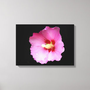 Pink Hibiskus Canvas drucken Leinwanddruck
