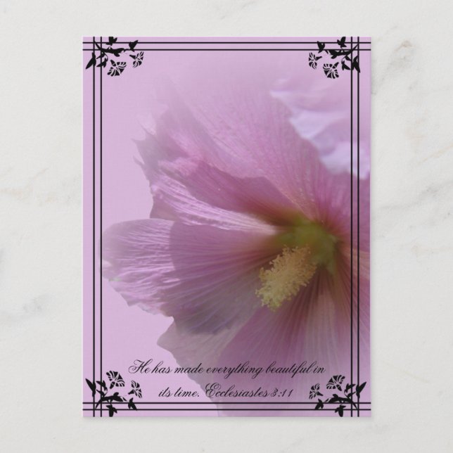 Pink Hollyhock Postkarte (Vorderseite)