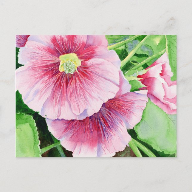 Pink Hollyhocks Postcard Postkarte (Vorderseite)