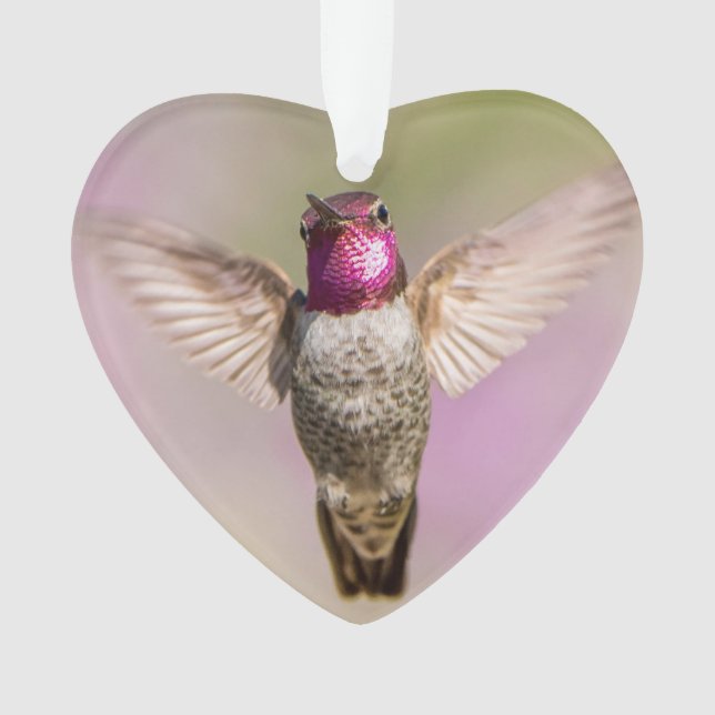 Pink Hummingbird Wings Wide Open, Blick auf Sie Ornament (Vorderseite)