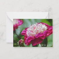 Pink Hütte Peony Blume Danke