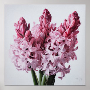 Pink Hyacinth Blume Art Print Poster