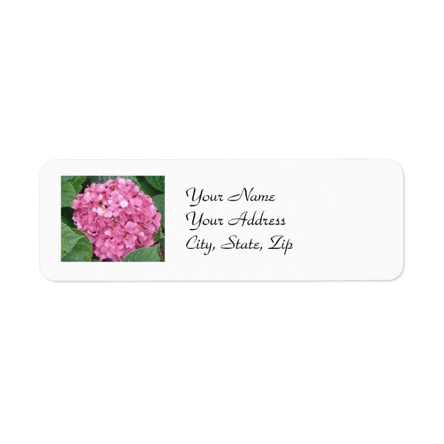 Pink Hydrangea (Vorne)