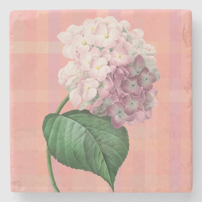 Pink Hydrangea Blume Art Untersetzer (Vorderseite)