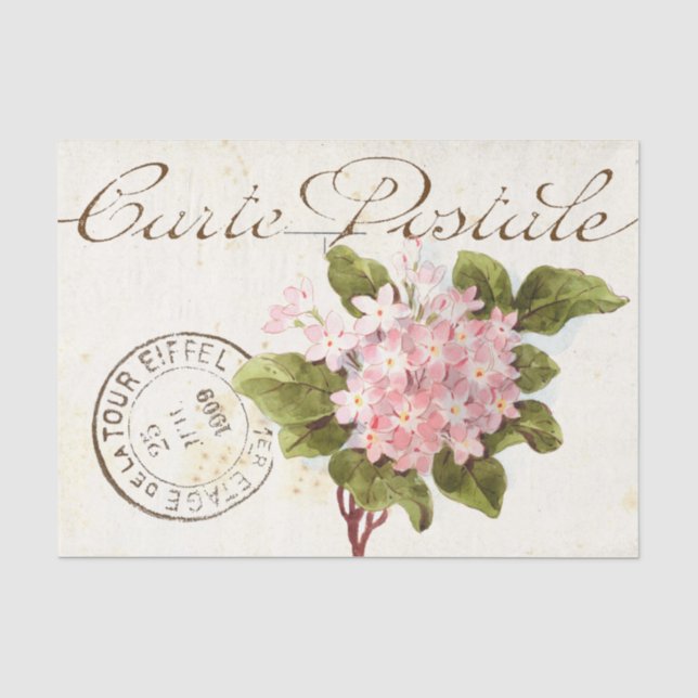 Pink Hydrangea Carte Postale Blume Vintag Französi Seidenpapier (Vorderseite)