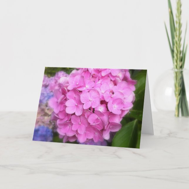 Pink Hydrangea Grußkarte Karte (Vorderseite)