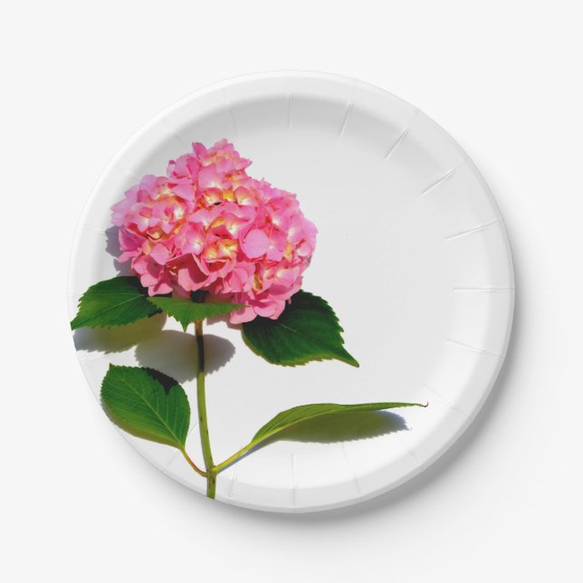 Pink Hydrangea Rosa Blume Rosa Blütenblume Pappteller (Vorderseite)