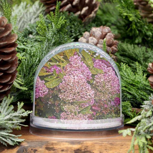 Pink Hydrangea Schneekugeln (Winter)