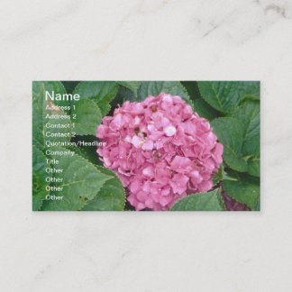 Pink Hydrangea Visitenkarte