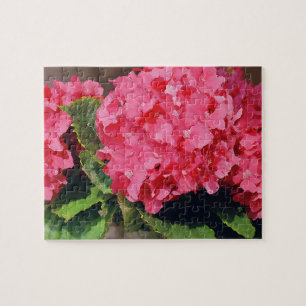 Pink Hydrangeas