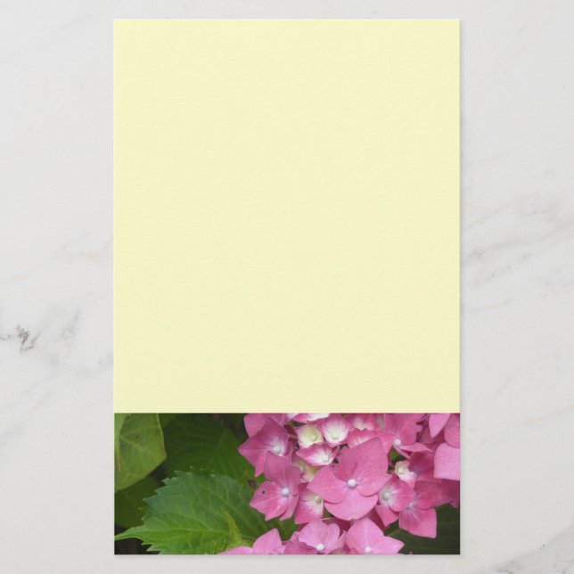 Pink Hydrangeas Briefpapier (Vorderseite)