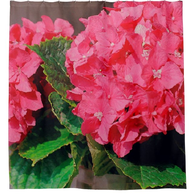 Pink Hydrangeas Duschvorhang (Vorderseite)