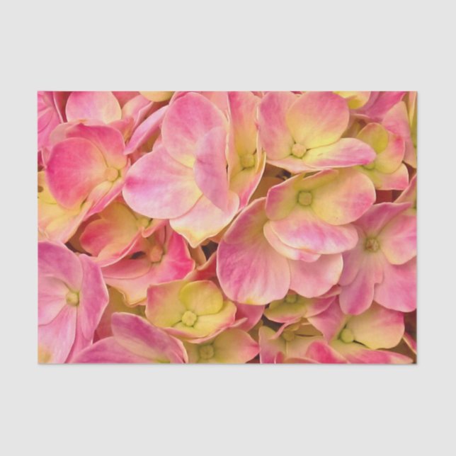 Pink Hydrangeas-TISSUE-WRAPPING-PAPIER Seidenpapier (Vorderseite)
