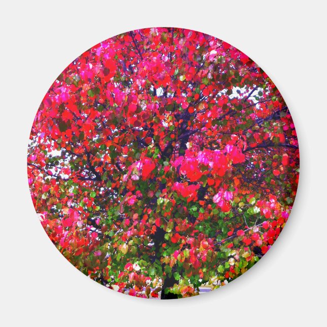 Pink impressionistisch Herbst Blätter Bäume Magnet (Vorne)