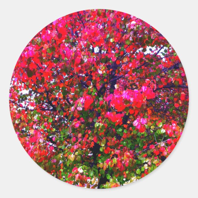 Pink impressionistisch Herbst Blätter Bäume Runder Aufkleber (Vorderseite)