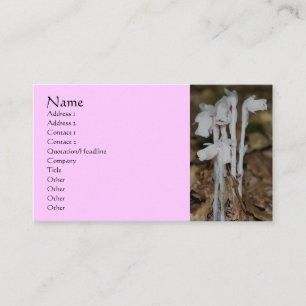 Pink Indian Pipe Fleur sauvage Carte de visite nat