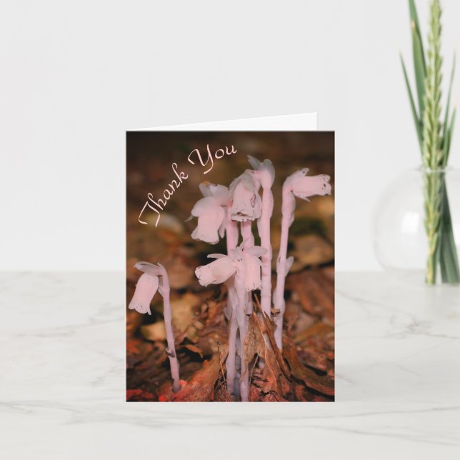 Pink Indian Pipe Wildblume Natur Danke Karte (Vorderseite)