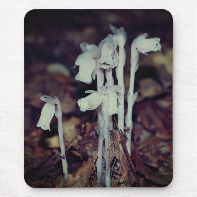 Pink Indian Pipe Wildblume Pilze Natur Mousepad (Vorne)