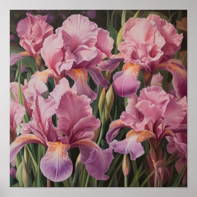 Pink Ire Blume Art Print Poster (Vorne)