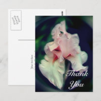 Pink Iris Abstrakt Floral Vielen Dank Postcard