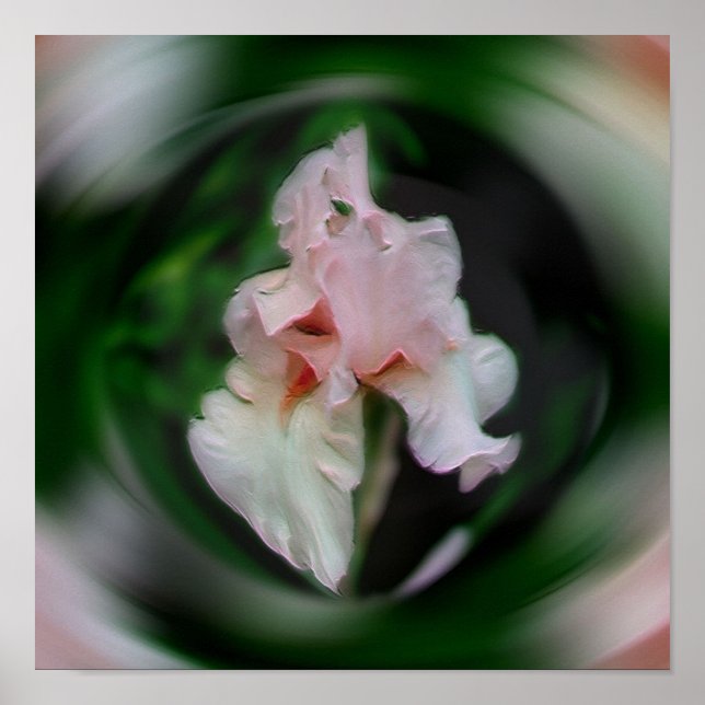 Pink Iris Blume Abstrakte Kunst Poster (Vorne)