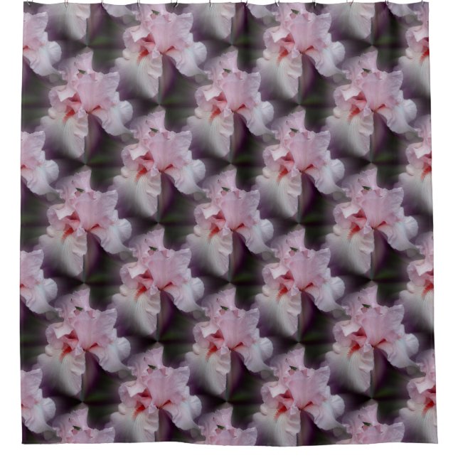 Pink Iris Blume Pattern Duschvorhang (Vorderseite)