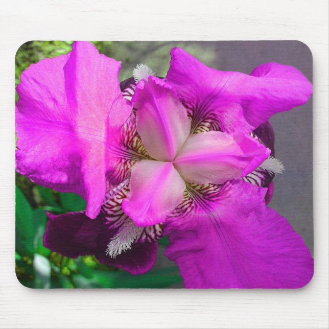 Pink Iris Mousepad (Vorne)