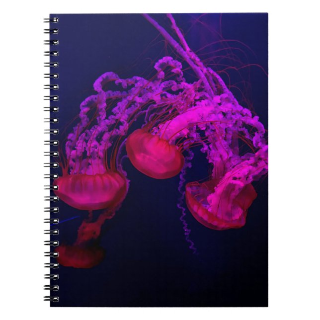 PINK JELLY FISH UNTER DEM MEER NOTIZBLOCK (Vorderseite)