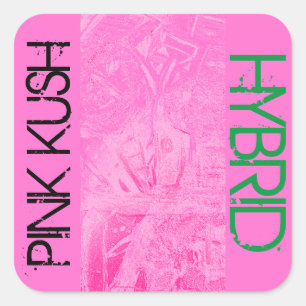 PINK KUSH HYBRID QUADRATISCHER AUFKLEBER