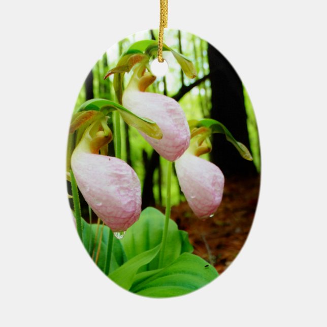 Pink Lady Slipper Wild Orchid Keramik Ornament (Vorne)