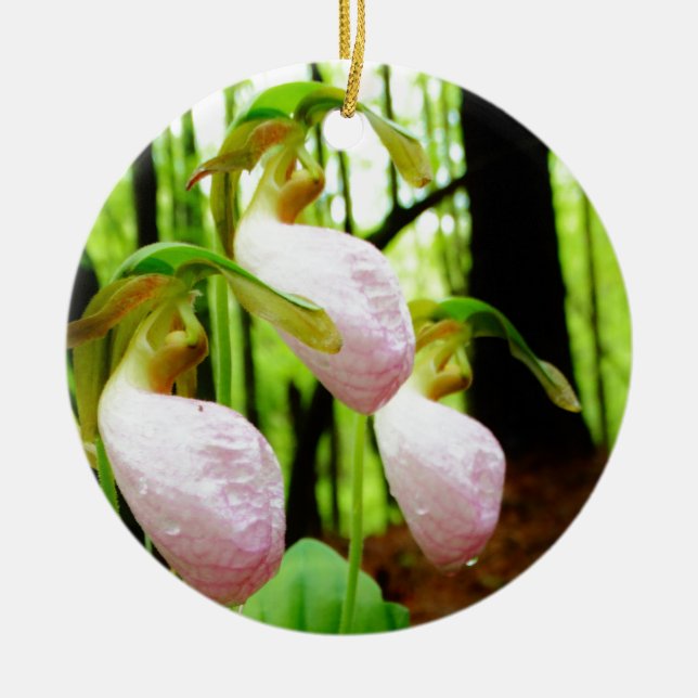 Pink Lady Slipper Wild Orchid Keramikornament (Vorne)